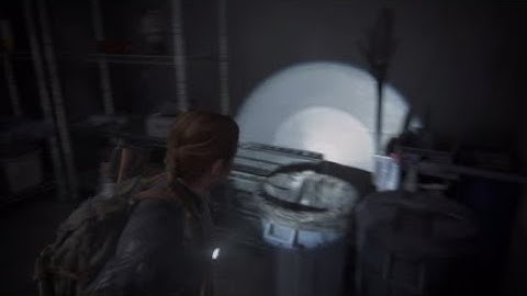 The Last Of Us Part II - Hotel Blacray Safe