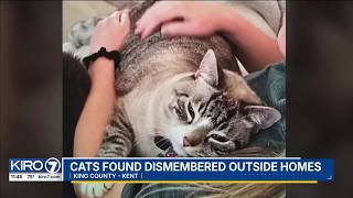 Cats found dismembered outside Kent, WA homes