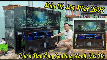 Mẫu Hồ Công Nghệ Mới Nhất 2025 - KT 1m68 68 68 Phiên Bản Ống Sanking Xanh Đỏ
