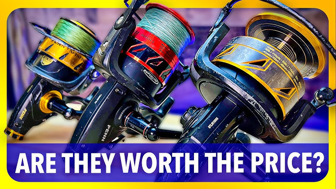 Penn Battle 3 3000 Review! Best Inshore Fishing Reel For the Money! 
