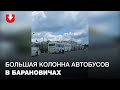 Большая колонна автобусов у ледового дворца в Барановичах