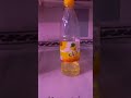 شامبو زيت شامبو زيت