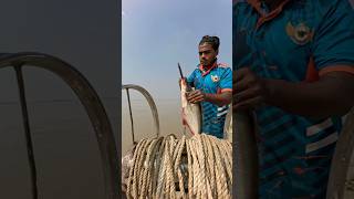 Very Nice Monster Fish Bait Throwing Method