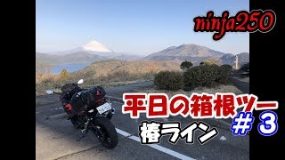 【ninja250】平日の箱根ツー ＃３ 椿ライン【モトブログ】