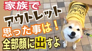 【柴犬 もみさん】思ったことは顔にすぐ出る柴犬と家族で年末アウトレット！洋服は苦手です　Shiba Inu Momisan   goes out with her family