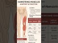 #bpt #anatomy #physiotherapy #mbbs #physiology