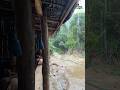পাহাড়ের পাড়ায় টং দোকানে বসে এমন ঝুম বৃষ্টিতে চায়ে চুমুক দিতে কেমন লাগবে