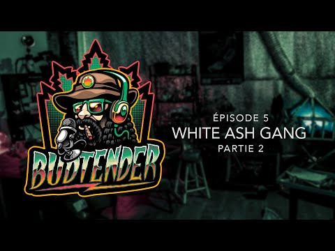 Comment reconnaître une bonne Weed ? Budtender Podcast - White Ash Gang Partie 2