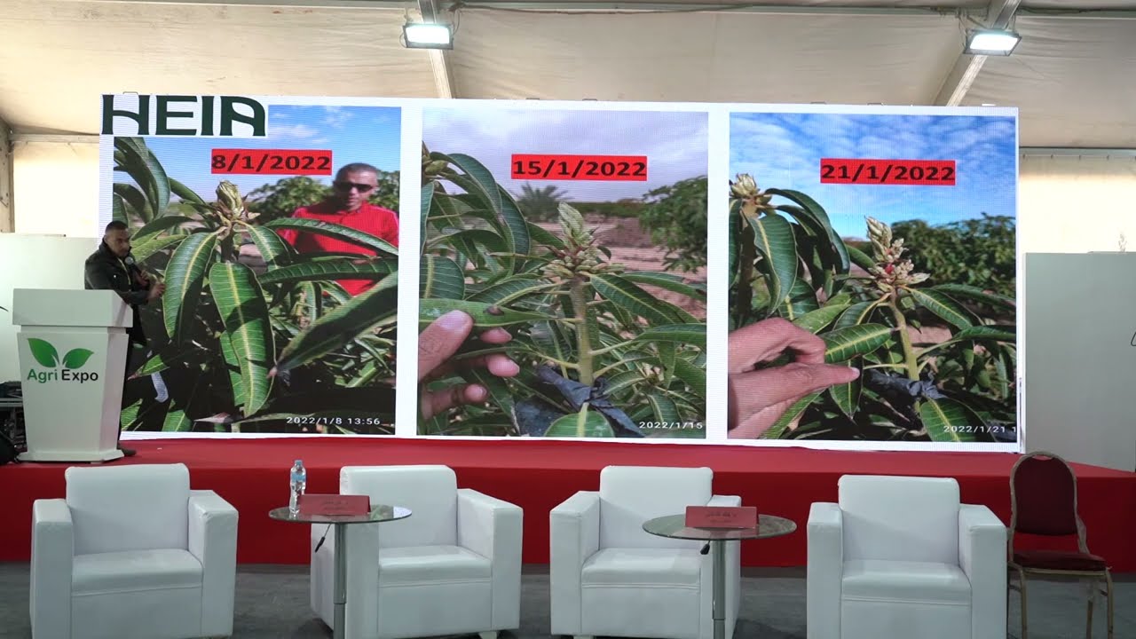 2023 محاضرة م/خالد الشاذلي و م/علي سلطان-تحديات إنتاج المانجو أثناء المؤتمر العلمي أجري إكسبو.