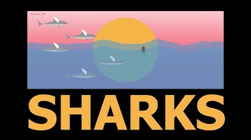 Sharks - Creative Programming Challenge 2 B1 Industrial Design