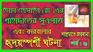 ইমাম হোসাইন (রা:) এর শাহাদাতের সূত্রপাত এবং কারবালার হৃদয়স্পর্শী ঘটনা ( পর্ব : ৬ )