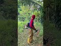 "Pemotongan Rumput Terliar di Kebun – Hasilnya Bikin Kaget!"#40