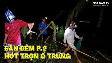 Săn Bắt Chuột Đêm Củ Tỏi Hốt Cả Ổ Trứng Vịt Thấy Mê, Tiệc Chuột Đêm Khuya Ăn Rau Và Sự Cố/NGÃ NĂM TV