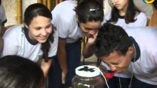 Fundação Alphaville - Ces Alphaville Educação Para A Sustentabilidade Integral