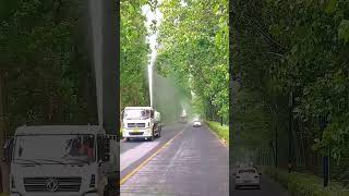 Easy Water Spray Method to Keep Poplar Tree Fluff from Blowing Everywhere