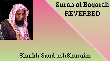 سوره بقره (آیه 254-257) | شیخ سعود اشوریم | Reverbed | بدون تبلیغات