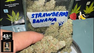 Ep10.ตัด StrawberryBanana Auto จบ #อุปกรณ์ปลูกธรรมดาบ้านๆ @FastBuds