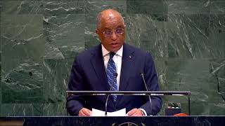 Plenary  under agenda item 38