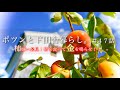 【ポツンと農業残り６日】ど田舎、柿農家の現実はこれ。｜柿を知れば変わる世界。｜○○柿の紹介｜奈良産