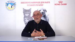 Бешенство у животных Бешенство у животных