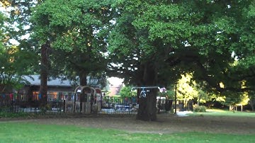 Align T-Rex 450SE v2 - Hovering