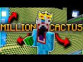 GETTING RICH FROM CACTUS in Hypixel Skyblock!