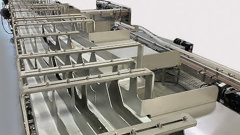 Multi-Lane Conveyor by Multi Conveyor