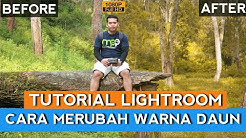 Cara Mudah Merubah Warna Daun di Lightroom Mobile - Durasi: 5.08. 