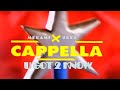 Miniature de la vidéo de la chanson Cappella Mega-Mix