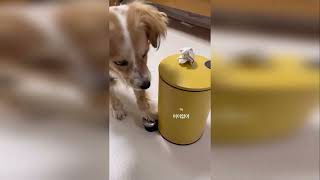 видео: 😂Я РЖАЛ ДО СЛЕЗ | ПРИКОЛЫ ЗА ИЮНЬ | FUNNY MOMENTS 2023 | 13 МИНУТ СМЕХА! | #434 картинка: 😂Я РЖАЛ ДО СЛЕЗ | ПРИКОЛЫ ЗА ИЮНЬ | FUNNY MOMENTS 2023 | 13 МИНУТ СМЕХА! | #434