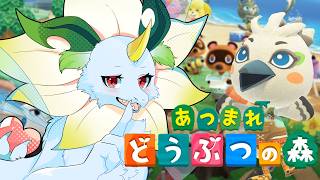 【#あつまれどうぶつの森   】チューリ君に写真をもらおう #準備編5【#ディナLive】#ケモノ系vtuber