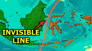 No Animal, Bird or Fish Can Cross this Invisible Line