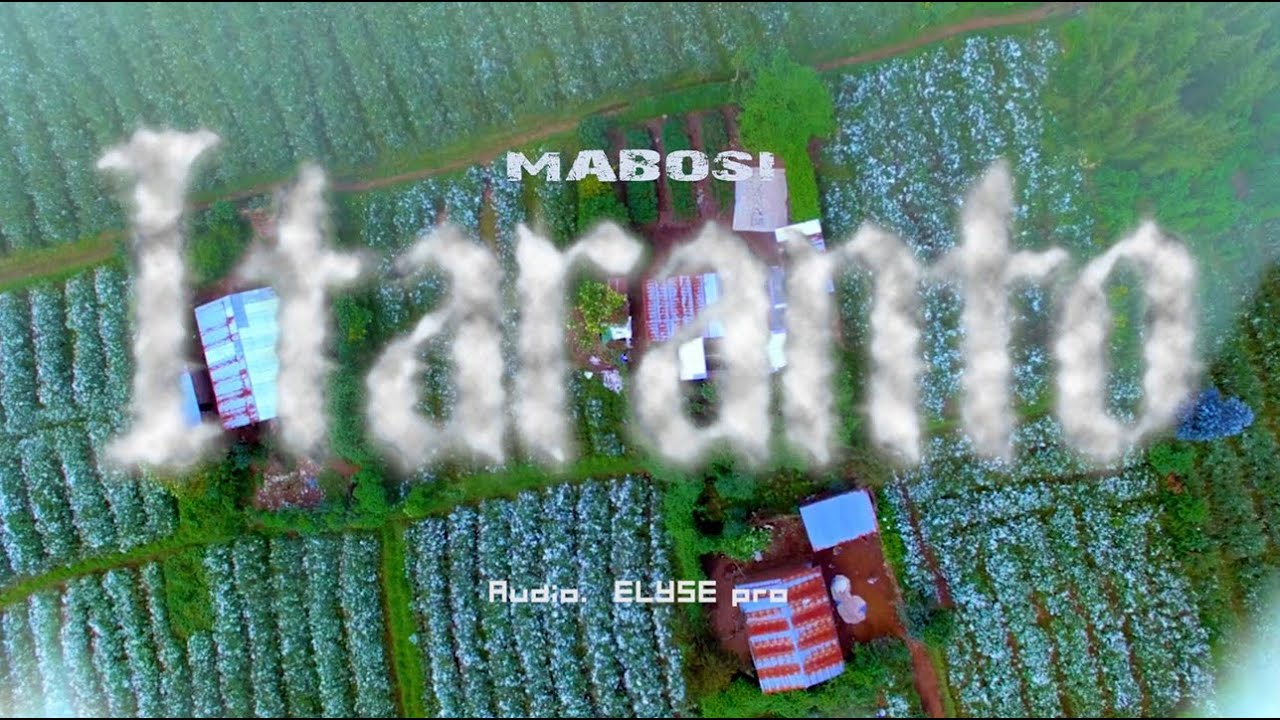 ITARANTO   MABOSI OFFICIAL VIDEO 2024