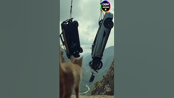 Car 🚗🚨 Cat 🐈 | Damaged 🥺 | MSQ Creation #ytshorts #shorts #ai #youtubeshorts #shortvideo #shortsfeed