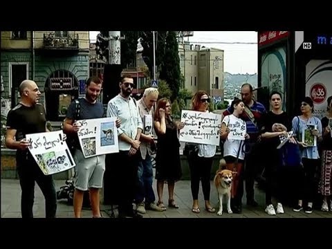 „აღასრულე კანონი - დაიცავი დაუცველი“