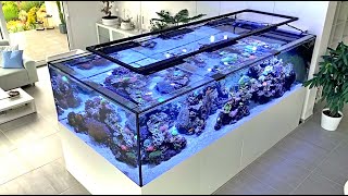 Das 3.300 Liter Meerwasser Aquarium von Martin Kunzelnick  ein Meerwasser Hausbesuch