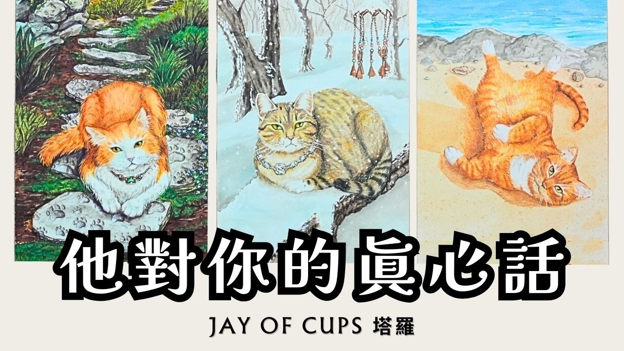 〚CC字幕〛他心裏一直對你藏著的說話💌沉默背後，他對你的真實感覺💗 塔羅 占卜｜感情｜曖昧｜暗戀｜分手｜斷聯｜復合｜三角｜不限時間｜Jay of Cups