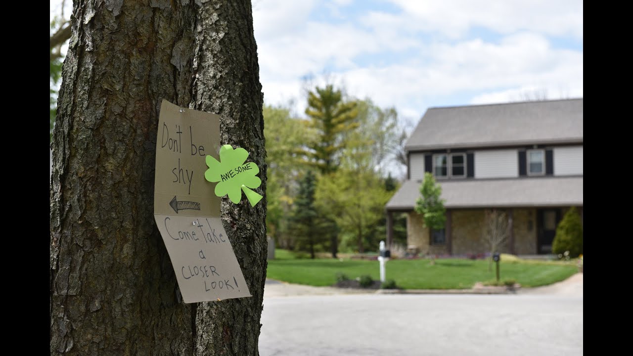 [Your Street Name Here] Arts Festival 2020 - short version