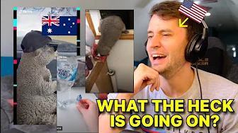 American reacts to Tiktoks Only Australians Will Understand