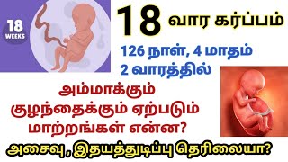 Pregnancy week 18 |18th weeks pregnancy symptoms in tamil |18 வார கர்ப்பம் | 5th month of pregnancy|
