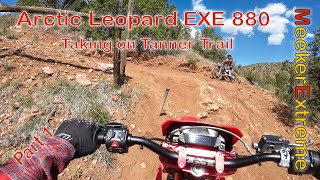 Arctic Leopard - Taking on Tanner Trail - Part 1