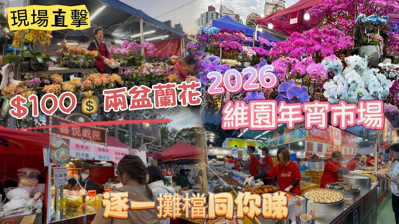 🌟現場直擊🌟維園年宵市場🚇逐一攤檔同你睇👀$100兩盆蘭花🌺$50三支劍蘭🎏劈價抗北上消費💰銅鑼灣花市
