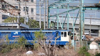 「ダイヤ改正後でもef65型電気機関車が運用に!!」臨8460レとシテ浜川崎駅付近を通過するシーン