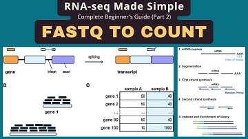Fastq to Counts: RNA-seq Data Analysis Best Practices for Beginners (Part 2)