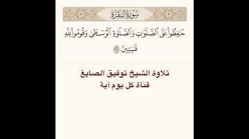 #تلاوة #الشيخ توفيق الصايغ من #سورة البقرة