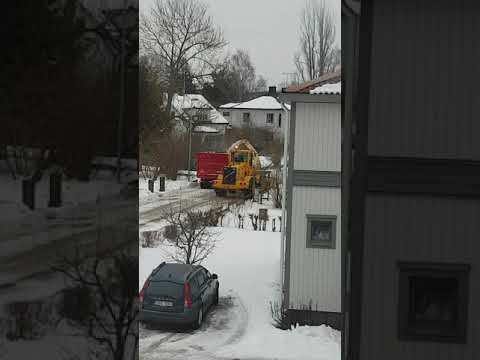 Video: Snöbär