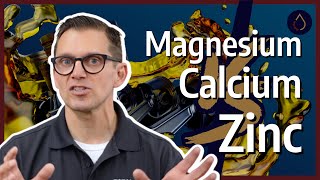 Calcium vs Magnesium vs Zinc in Engine Oils