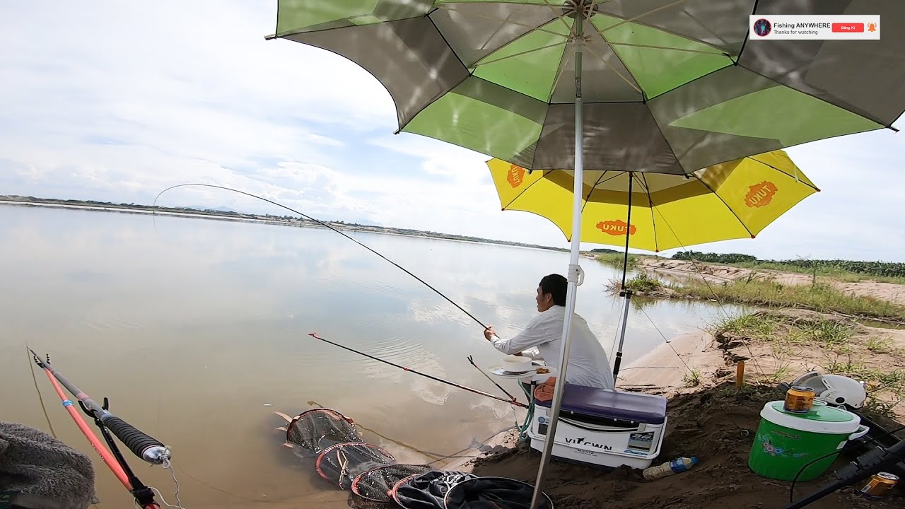 Câu Đài - Fishing : Câu Cá Tự Nhiên - Đại Mạch, Sông Hồng - Youtube
