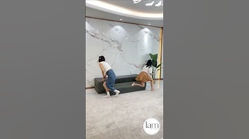 Ghế sofa bed - Sự kết hợp độc đáo giữa tiện ích và phong cách hiện đại