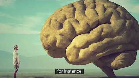 ¿Cuánto tiempo puede conservarse un cerebro?
